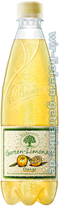 Bad Brambacher Garten-Limonade Orange